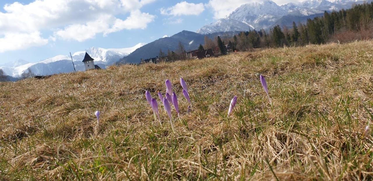 Apartament Na Brzyzku Zakopane Exterior foto